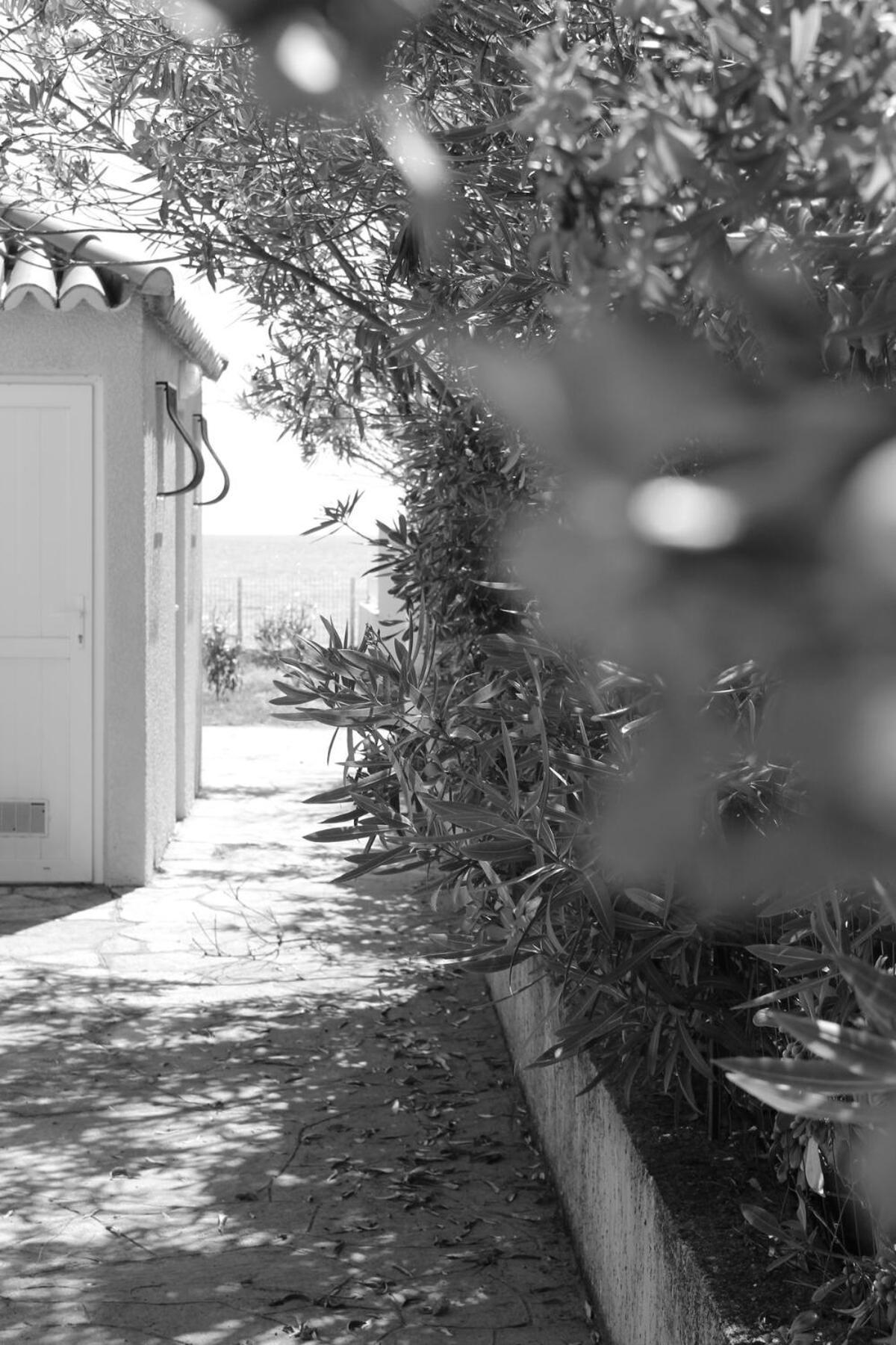 Bord de mer, pieds dans l'eau, vue panoramique Villa San-Nicolao Exterior foto