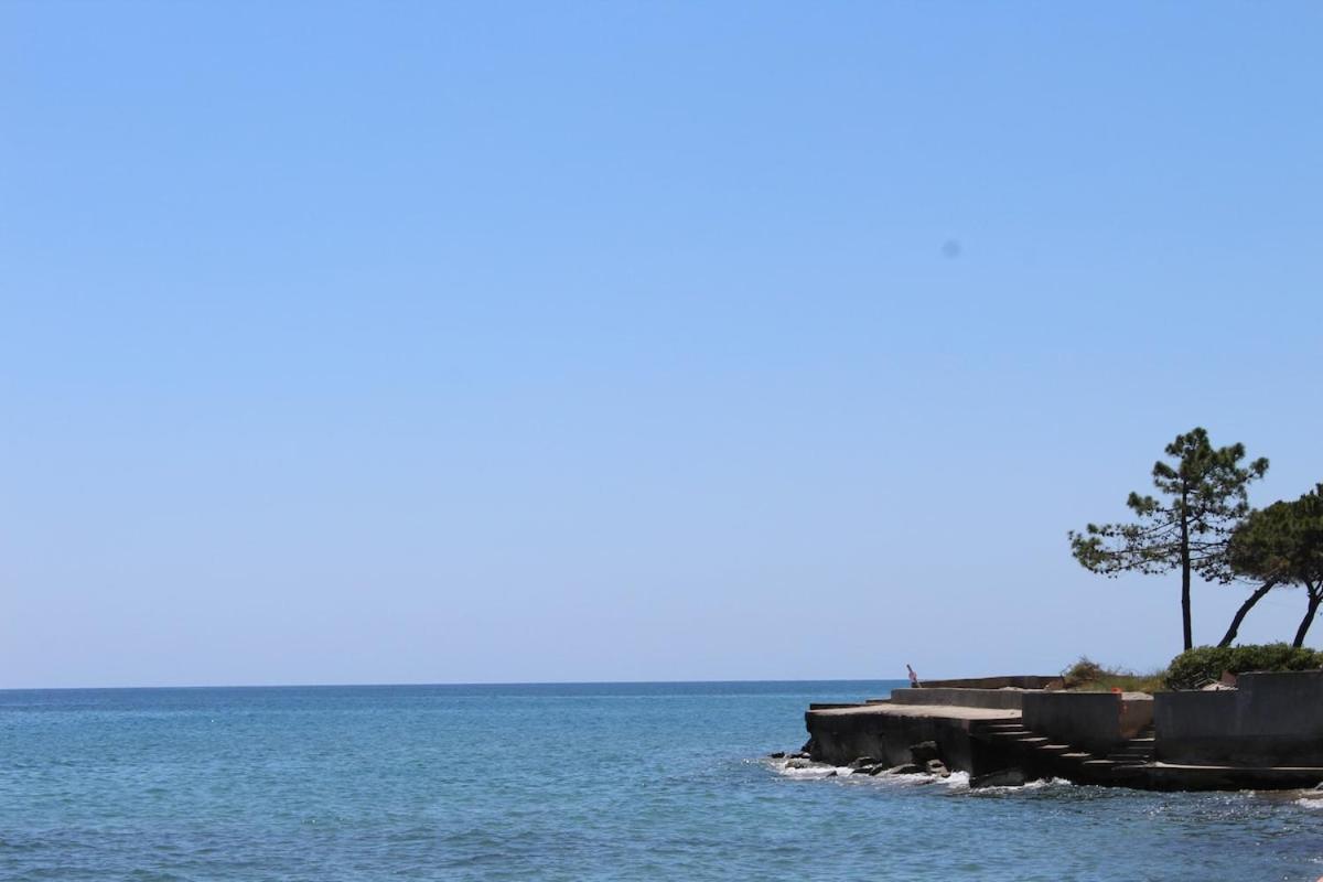 Bord de mer, pieds dans l'eau, vue panoramique Villa San-Nicolao Exterior foto